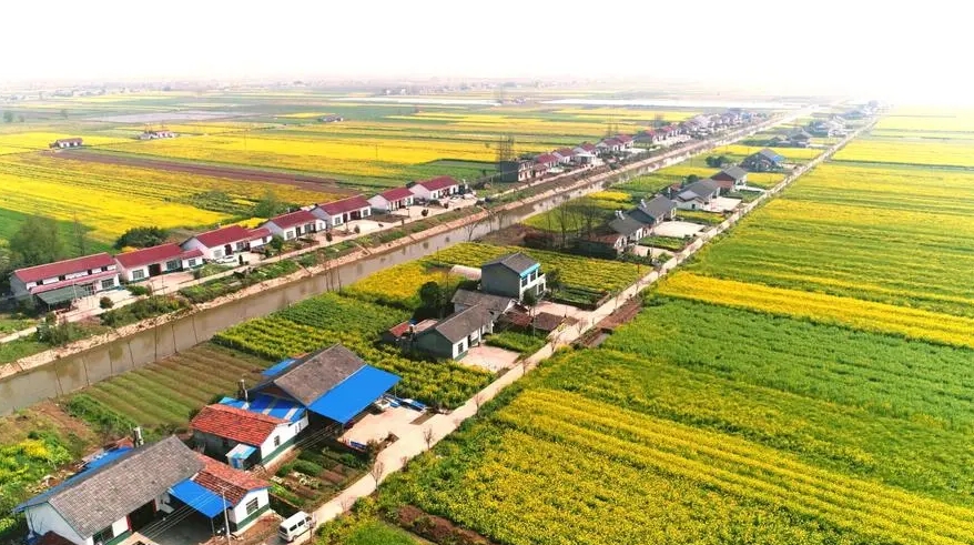 兩部門印發(fā)《關于進一步推進農村生活污水治理的指導意見》