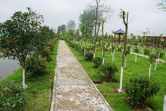 福建省生態(tài)環(huán)境廳、農業(yè)農村廳關于進一步加強農村生活污水治理工作的通知！